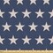 Ambesonne Star Fabric by the Yard, Patriotic Star of the American Flag Independence Themed Freedom Concept USA, Decorative Fabric for Upholstery and Home Accents, 5 Yards, Violet Blue and Tan